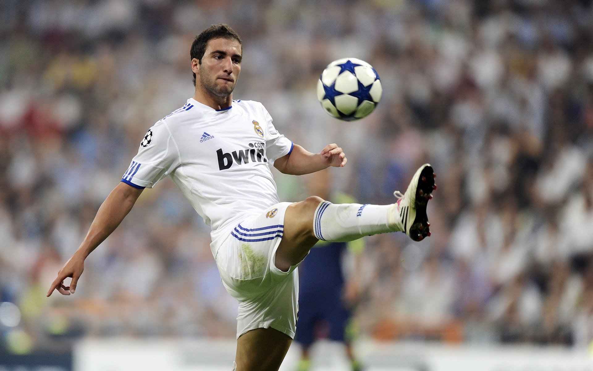 奥地利女足队奋勇争先，一路领先，奥地利男足